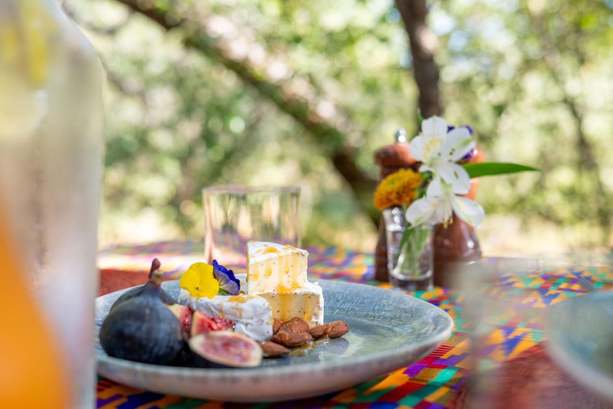 Rafiki Bush Lodge Hoedspruit Dış mekan fotoğraf